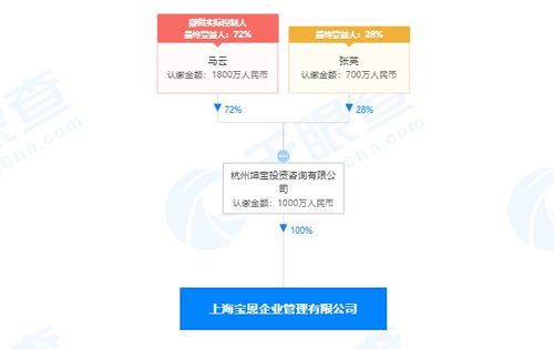 馬云旗下公司全資收購寶恩企業(yè)管理咨詢，深化商業(yè)版圖布局